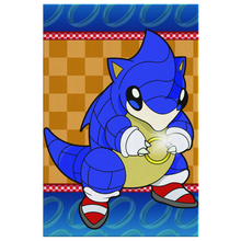 Load image into Gallery viewer, SonicSchrew Canvas Wall Art
